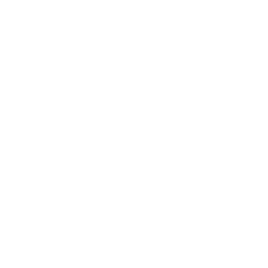 Kompleksowa obsługa